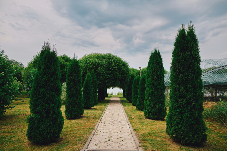 Korolevichi estate
